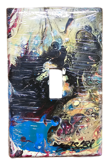 Hand Painted Light Switch Cover #19