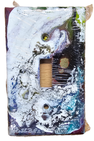 Hand Painted Light Switch Cover #26