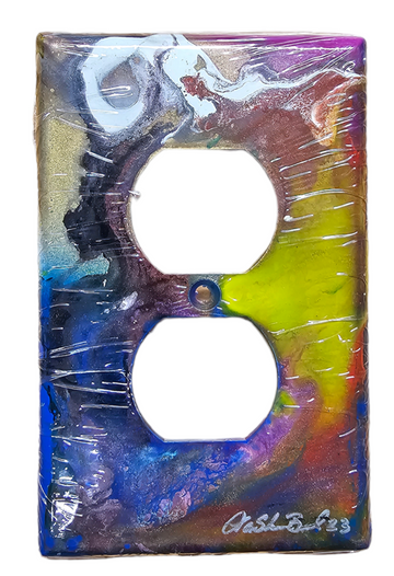 Hand Painted Light Switch Cover #42
