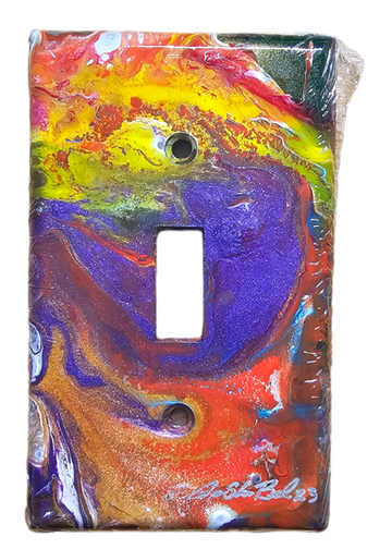 Hand Painted Light Switch Cover #35