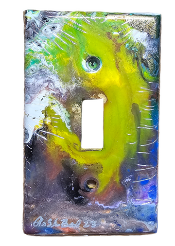 Hand Painted Light Switch Cover #30