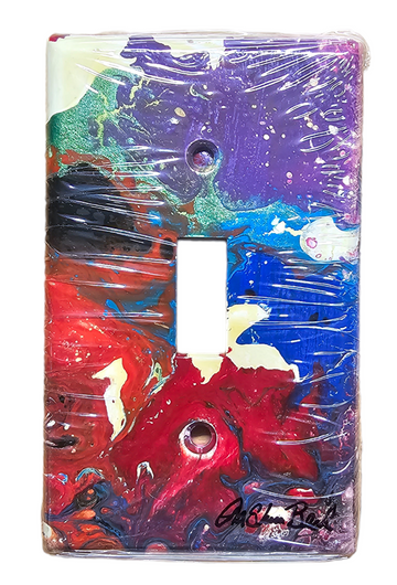 Hand Painted Light Switch Cover #31