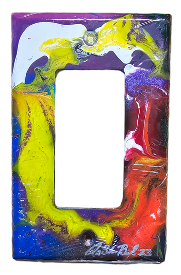 Hand Painted Light Switch Cover #45