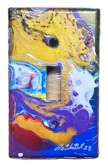 Hand Painted Light Switch Cover #56