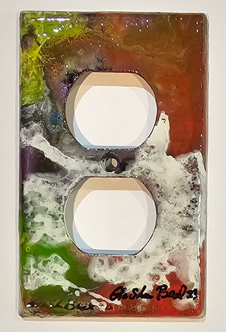 Hand Painted Light Switch Cover #75