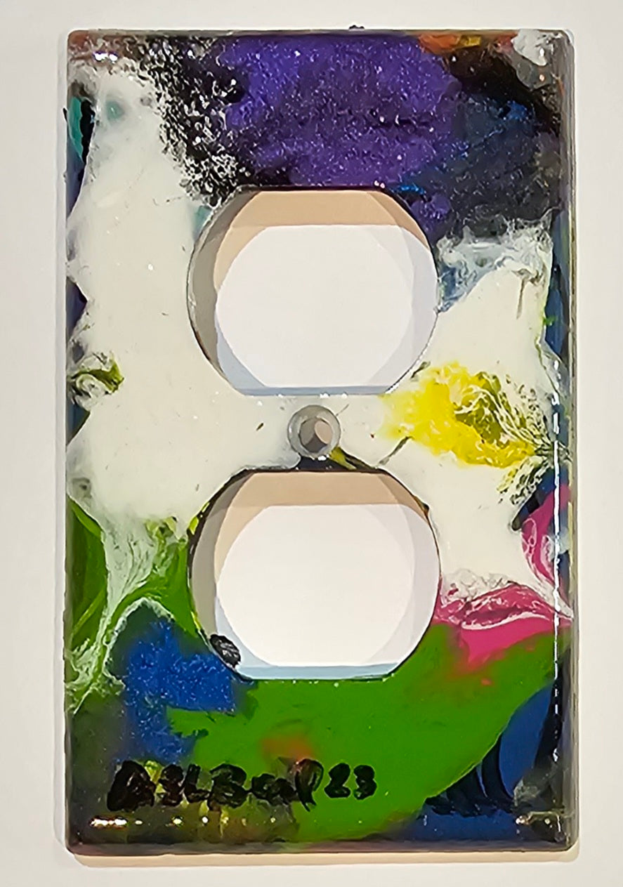 Hand Painted Light Switch Cover #77