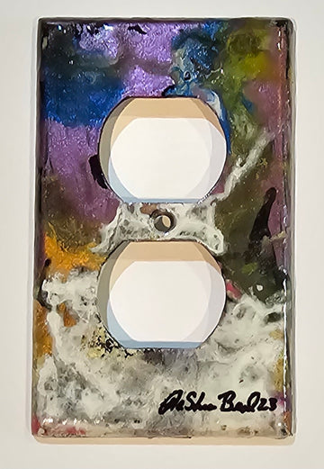 Hand Painted Light Switch Cover #67