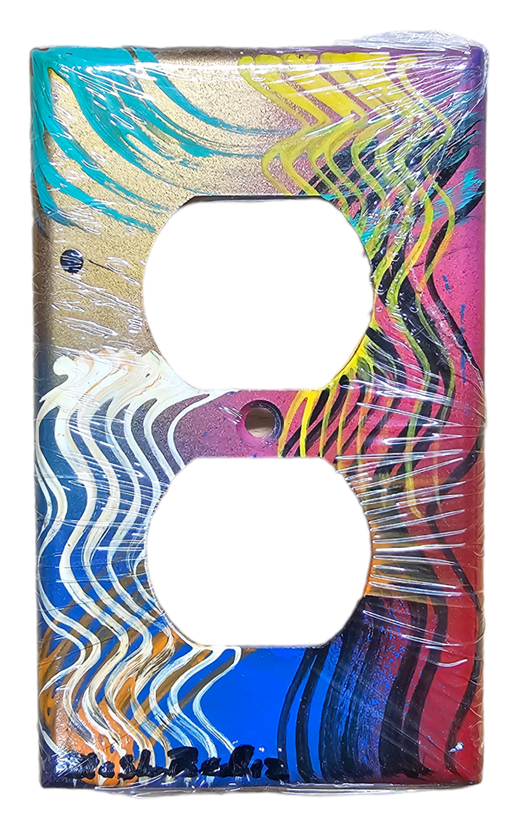 Hand Painted Light Switch Cover #22