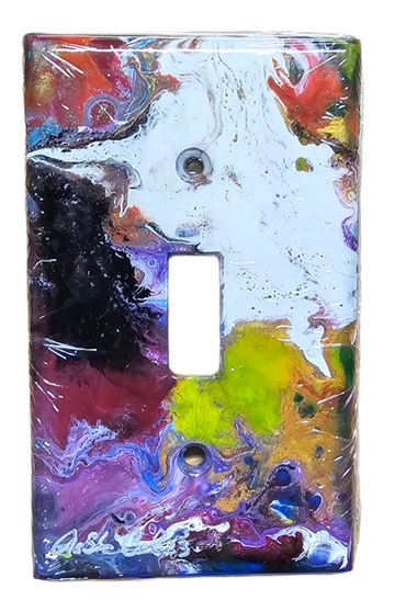 Hand Painted Light Switch Cover #28