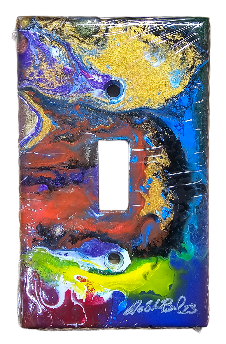 Hand Painted Light Switch Cover #20