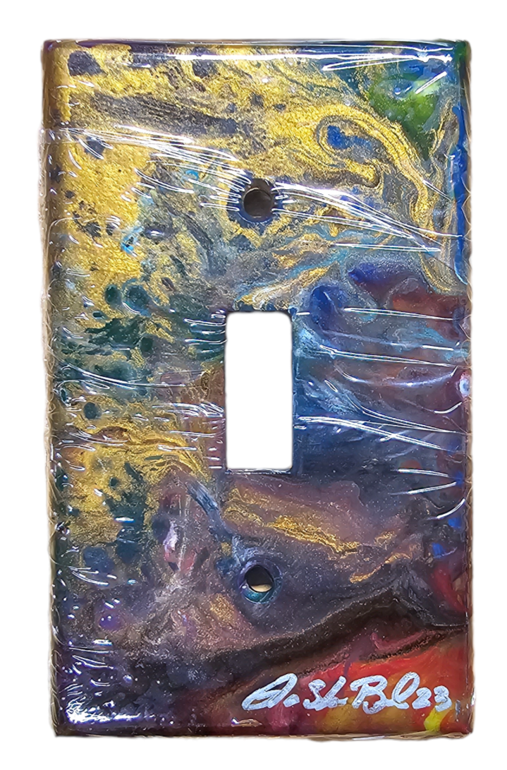 Hand Painted Light Switch Cover #27