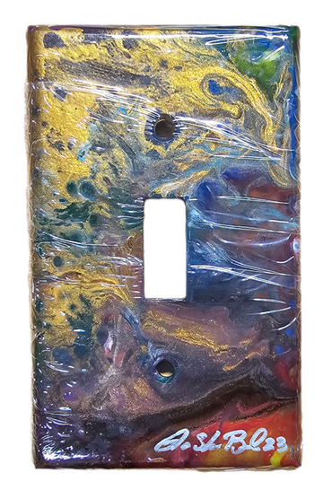 Hand Painted Light Switch Cover #27