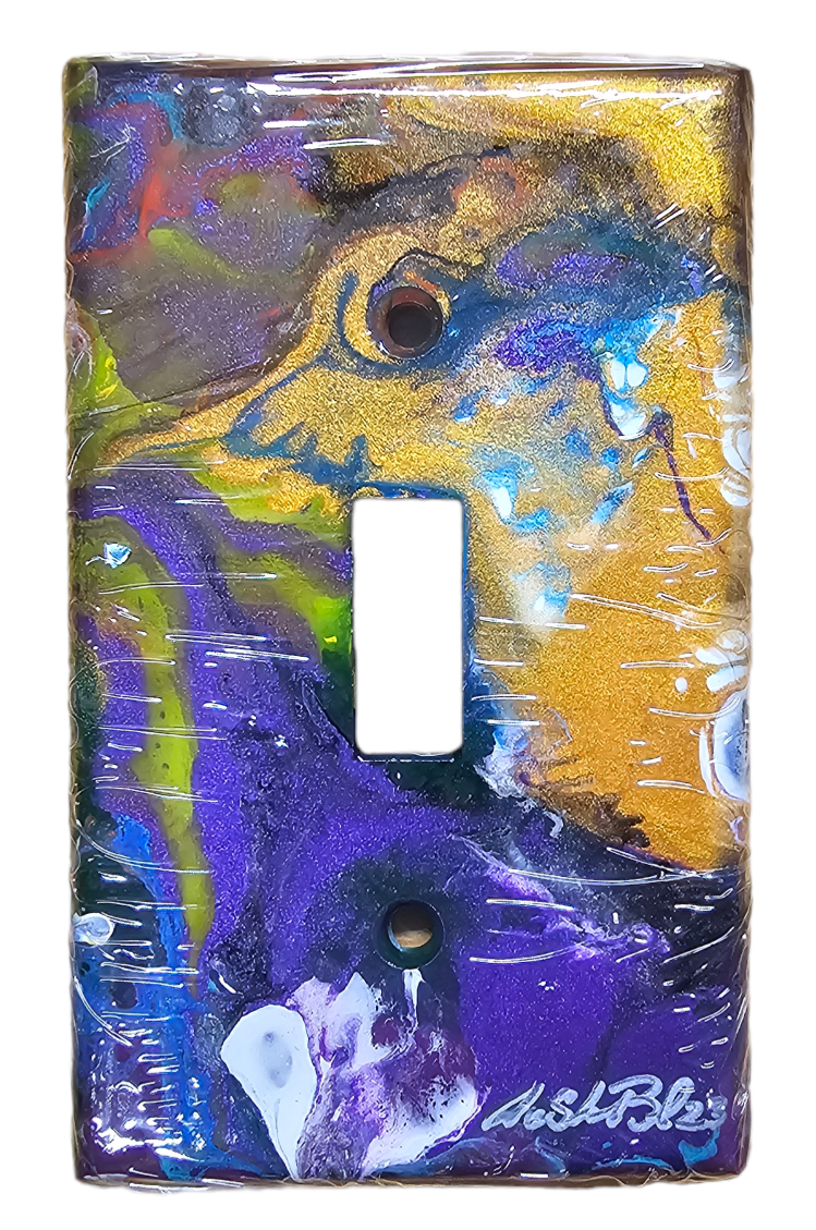 Hand Painted Light Switch Cover #21