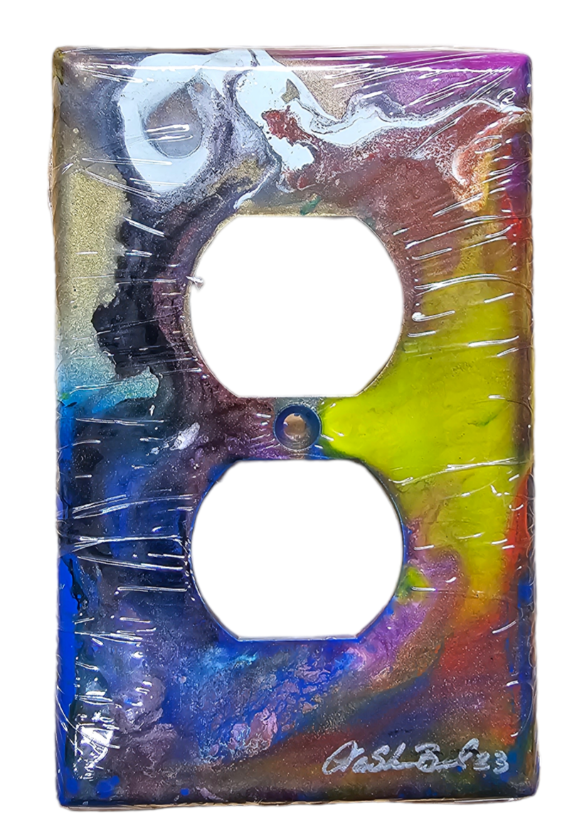 Hand Painted Light Switch Cover #47