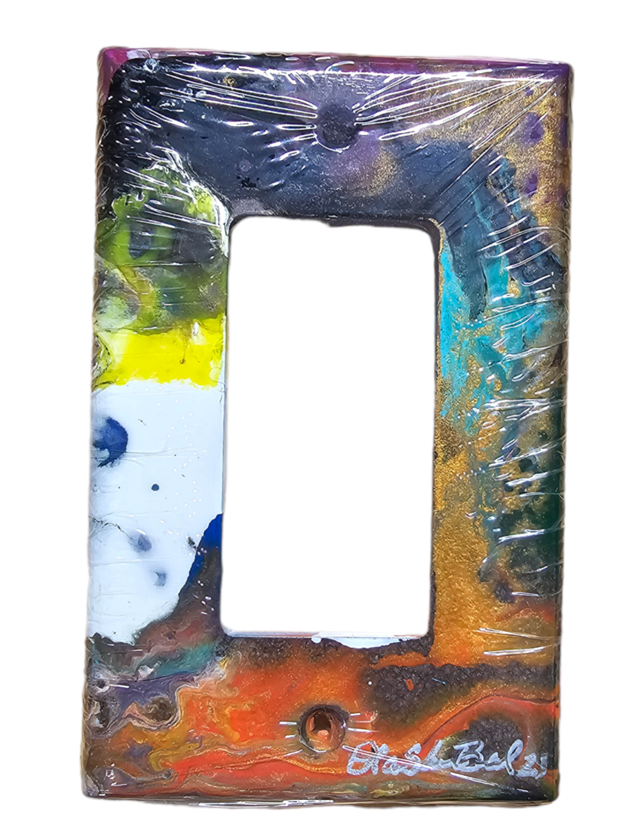 Hand Painted Light Switch Cover #37