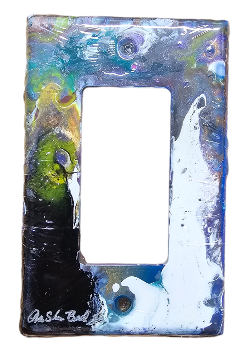 Hand Painted Light Switch Cover #48