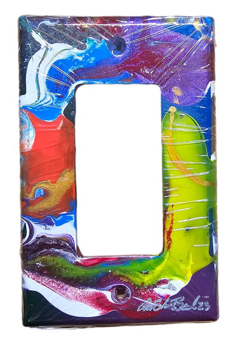 Hand Painted Light Switch Cover #34