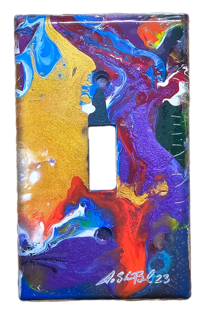Hand Painted Light Switch Cover #41