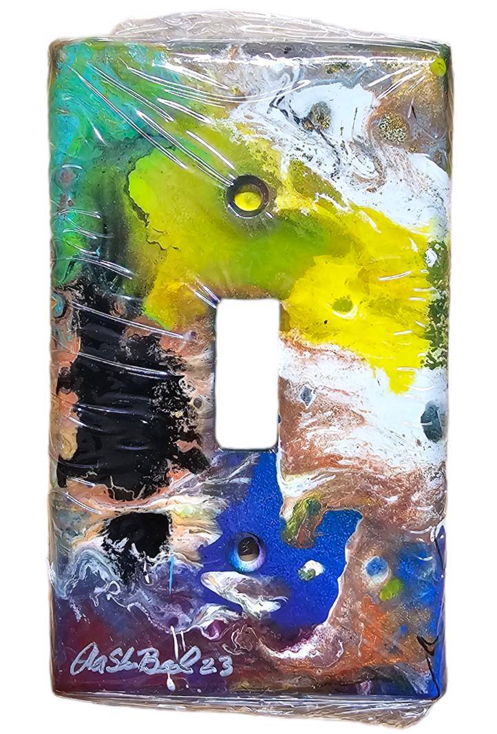 Hand Painted Light Switch Cover #51
