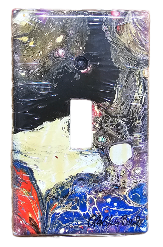 Hand Painted Light Switch Cover #49
