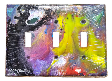 Hand Painted Light Switch Cover #32