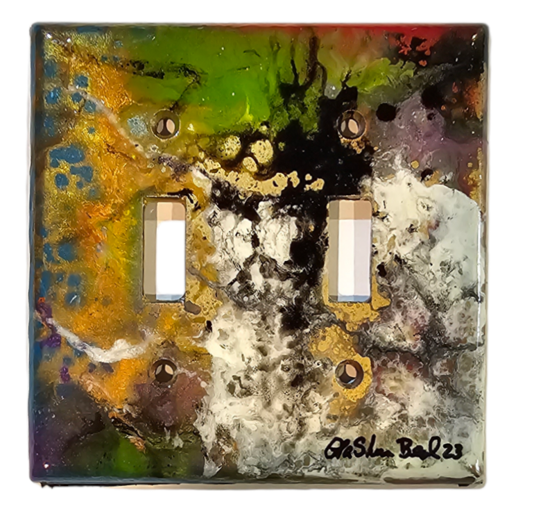 Hand Painted Light Switch Cover #85