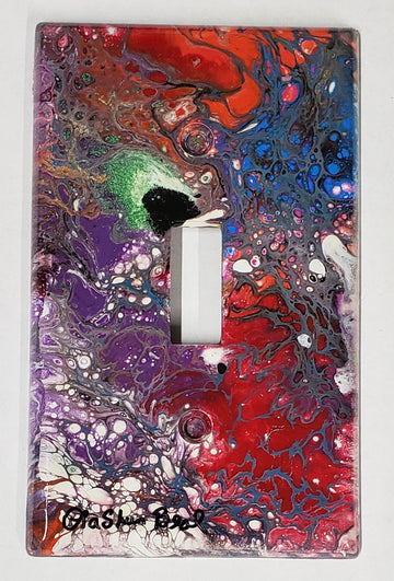 Hand Painted Light Switch Cover #13
