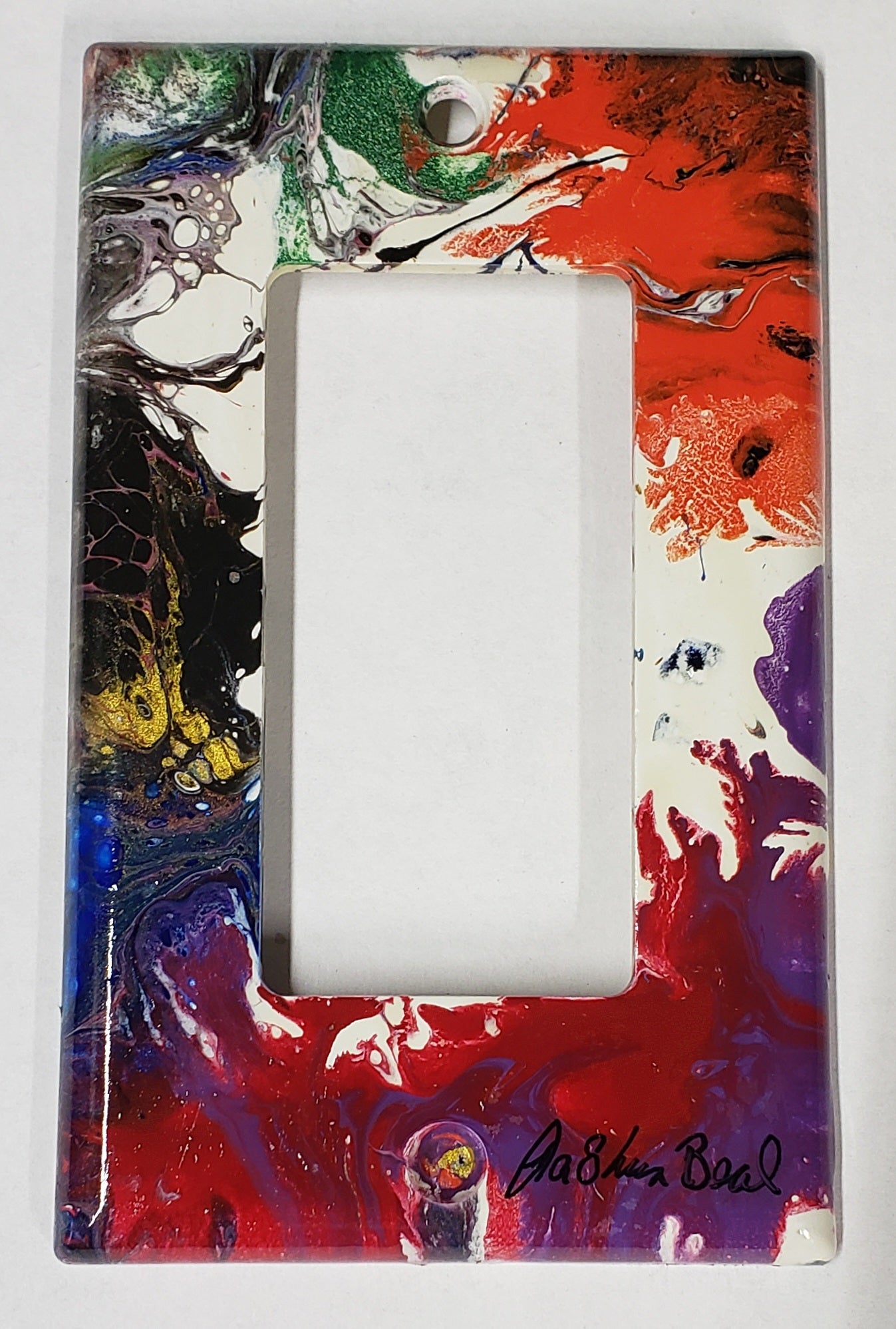 Hand Painted Light Switch Cover #18